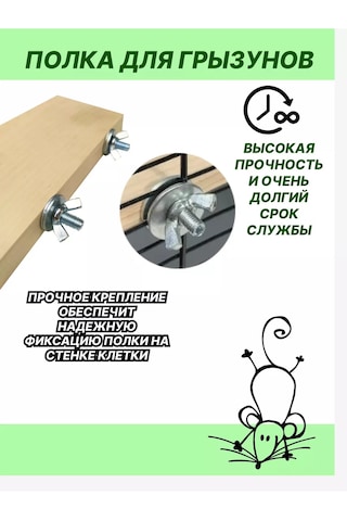 Mouse House Kemirgenler Ve Kuşlar İçin Raf 209357641