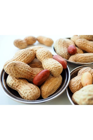 Çerezciyiz Biz Gümüş Kuruyemiş Paketi 3 x 1 KG