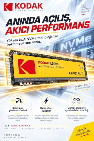 X300s 1tb M.2 Nvme Pcıe Gen3x4 2280 Ssd 2500 Mb/s Okuma 2000 Mb/s Yazma Hızlı Ssd