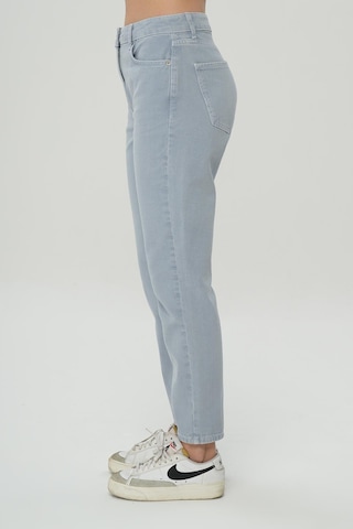 Ariana Gri-mavi Yüksek Bel Patı Fermuarlı Mom Jean Pantolon C 4525-139 Gri