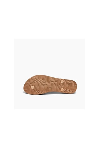 Reef Seasıde Prınts Erkek Terlik Ref.cj0250 Siyah