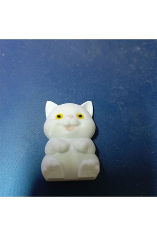 Oturan Beyaz Yavru Kedi Magnet