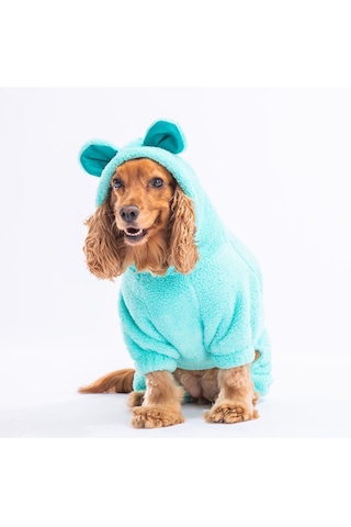 Pawstar Mint Koala Küçük Irk Peluş Köpek Tulumu
