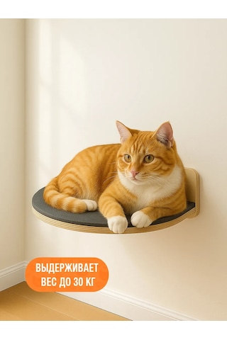 Go Cats Kediler İçin Halılıklı Duvara Monte Kitaplık 430861487