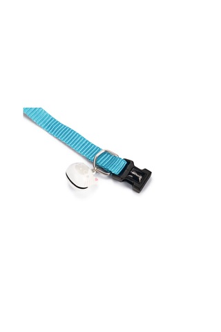 Hnrlıshp Beeztees Kedi Boyun Tasması, Zilli, Turkuaz, 20-30cm