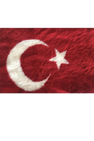 Point Türk Bayraklı Torpido Pandizot Üstü Peluş Örtü 150x40 Cm