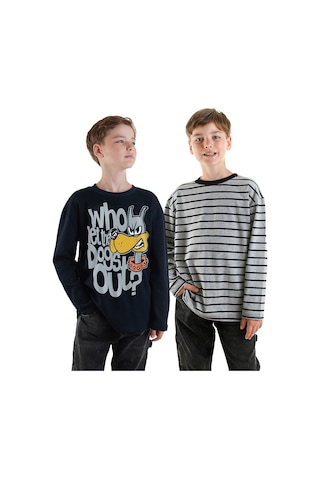 Denokids Erkek Çocuk 2'li Paket T-shirt Renkli