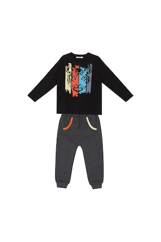 Denokids Mshb&g Kaplan Erkek Çocuk T-shirt Pantolon Takım Çok Renkli