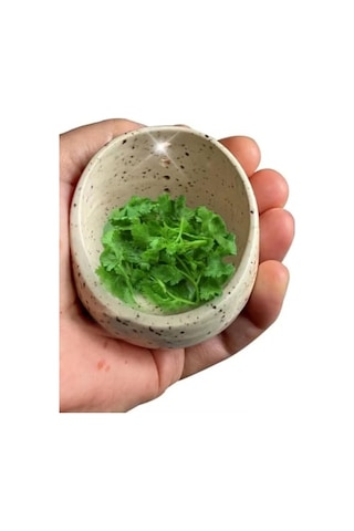 Pazly-seramik Soyucu Kase - Farklı Delik Boyutları, Yuvarlak Tasarım, Pratik Ve Dayanıklı Beyaz