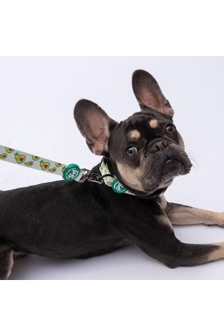 Avocado Avokado Desenli Köpek Boyun Tasması Ayarlanabilir Köpek Tasması M Size 32-48cm Boyun Aralığı Yeşil