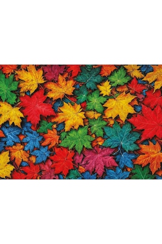 Art Puzzle Renkli Yapraklar 1000 Parça 41036