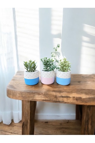Renkli Saksı Seti Sukulent Kaktüs Dekoratif Eşya- Ev Dekorasyon - Saksı Seti 4