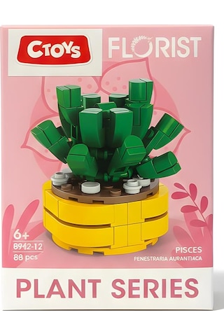 Ctoys Florist Burçlar Saksılı Bitki Yapım Seti Pisces 8942 12