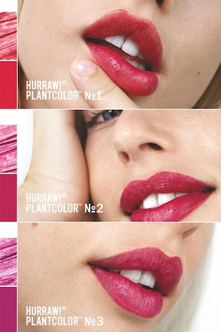 Hurraw Plantcolor Vegan Ruj 4.8gr - No 3 001
