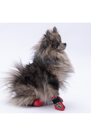 Pawstar Ducks Köpek Ayakkabısı