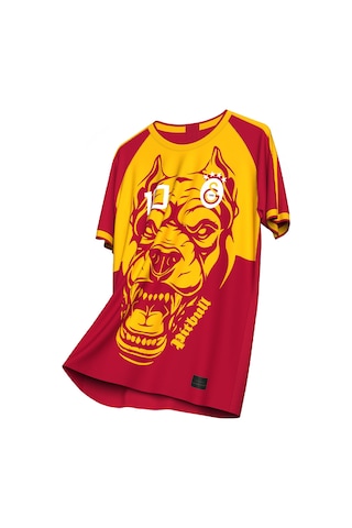 Gsstore Galatasaray Felipe Melo Legends T-shirt E232392 Sarı - Kırmızı