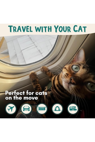 Kediler İçin Seyahat Çöp Kutusu 3in1 Kit - Taşınabilir Çöp Kutusu, Katlanabilir, Kapak, Küçük Scooper Uçak, Araba, Van, Kamp Ve Kedilerle Seyahat İçin Tam Kit Taş