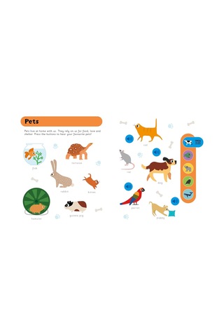 My First Animals