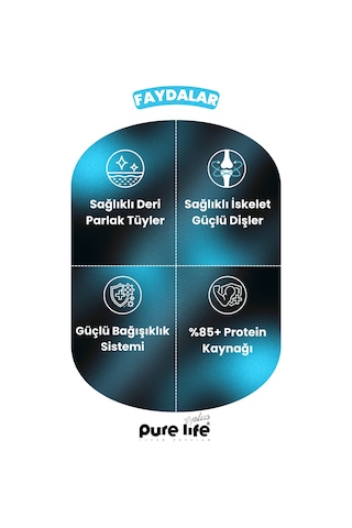 Purelife Plus 3'lü Stick Somonlu Kedi Ödül Çubukları 3 x 15 G