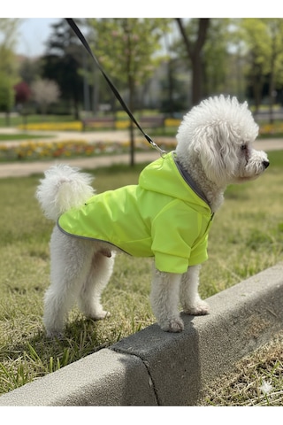 Kedi - Köpek Kıyafeti Kapşonlu Yeşil Yağmurluk & Mont