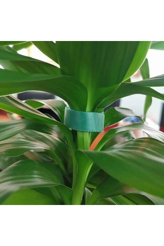 Reedark 2 Adet Bahçe Bitki Sabitleyici, 10mmx10m Nilon Bant, Yeniden Kullanılabilir, Çift Taraflı, Hava Dayanıklı, Dal Ve Sarmaşık Taşınımı İçin