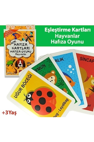 Star Hafıza Kartları Eşleştirme Eşini Bul Oyunu 3'lü Set