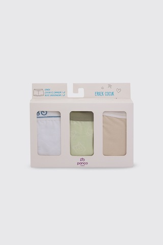 Panço Erkek Çocuk 3'lü Boxer Seti 2522bk14004 Renkli