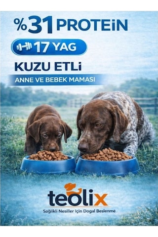 Teolix Kuzu Etli Anne Ve Yavru Köpek Maması %31 Protein %17 Yağ Dengeli & Tam Beslenme 15 Kg
