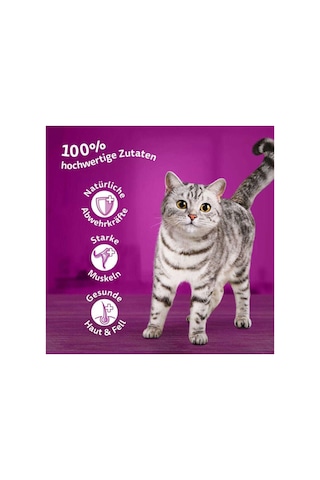 Whiskas Kedi Yaş Maması Tasty Duo 85 G