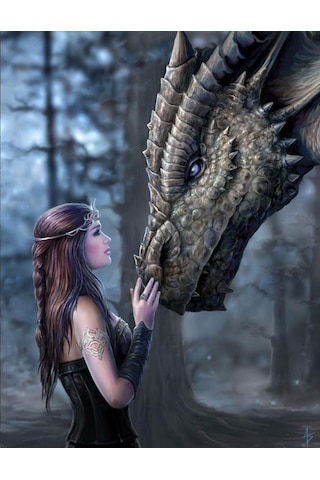 Ten 5d Dıy Elmas Boyama Tam Yuvarlak Elmas Nakış Mozaik Elmas Taklidi Resimleri Süslemeleri Ev 30x40cm