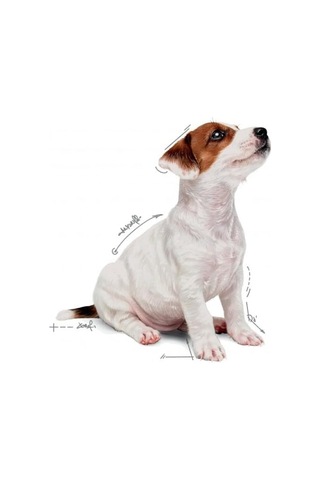Mini Puppy Köpek Maması, Yavru Köpek, 12 X 85 G