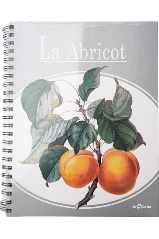 Le Color Kayısı Desen 2+1 Kareli&Çizgili 235x300 Spiralli Defter