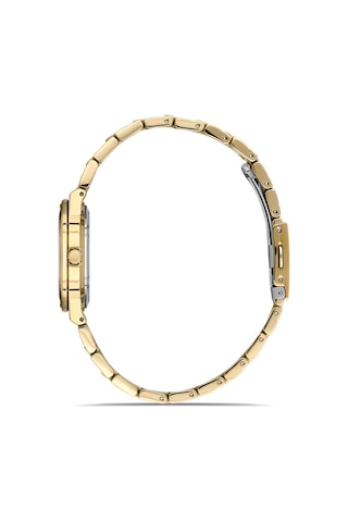 Ferro Fl21586awt-b6 Quartz Çelik Altın Rengi Yeşil Kadran 31 Mm Kadın Kol Saati Altın