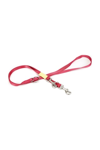 Beeztees Köpek Gezdirme Kayışı, Pembe, 200cm, 20mm Çok Renkli