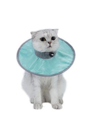 Hombey Kedi Ameliyat Sonrası Yalama Engelleme Kolye, Yumuşak Ribalı Yaka, Ayarlanabilir Çekmecik, Ye-meyve İçebilme Özelliği, Turkuaz M Ya001k071