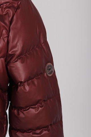 İgs Igs Erkek Bordo Standart Std Mont Bordo