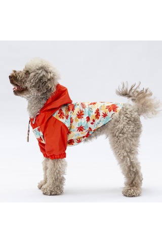 Pawstar Ottawa Köpek Mont Köpek Yağmurluk Köpek Kıyafeti Köpek Elbisesi