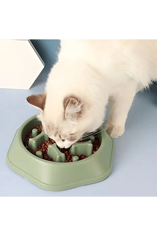 Pribor Kedi Köpek Yavaş Yeme Mama Kabı