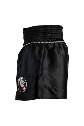 Dragondo Mt3033 Muaythai Şortu Siyah Kick Boks Şortu Siyah