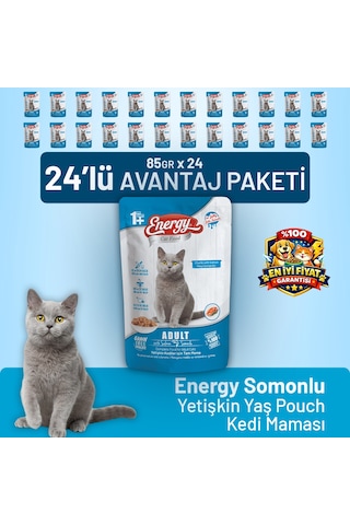 Somonlu Yetişkin Yaş Kedi Maması 85 G - 24 Adet