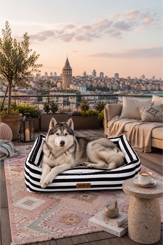 Kedi Ve Köpek Yatağı Kafa Destekli Kaydırmaz Taban Yıkanabilir Fermuarlı Minder %100 Boncuk Elyaf Siyah - 880945559 M