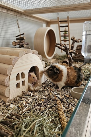 Hamster Evi Doğal Ahşap El Yapımı Hamster Yuvası