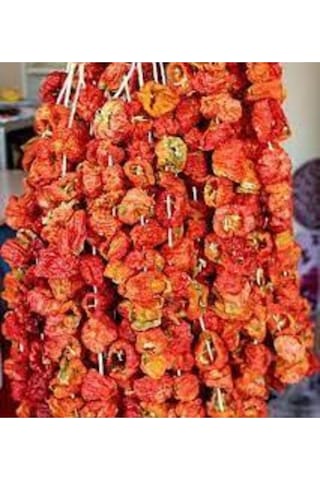 50 Adet Kurutulmuş Acı Antep Dolmalık Biber Yeni Mahsül Doğal Köy Biberi Orta Boy Kuru Dolmalık Bibe