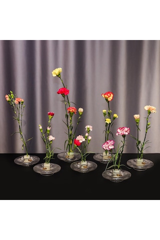 Flora Design-balance Series Cam Vazo Şeffaf