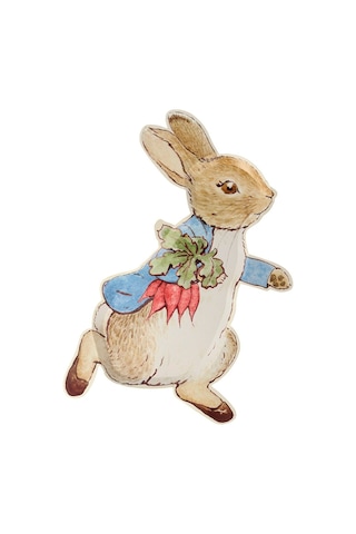 Meri Meri - Peter Rabbit Plates - Peter Rabbit Tabak - 12'li