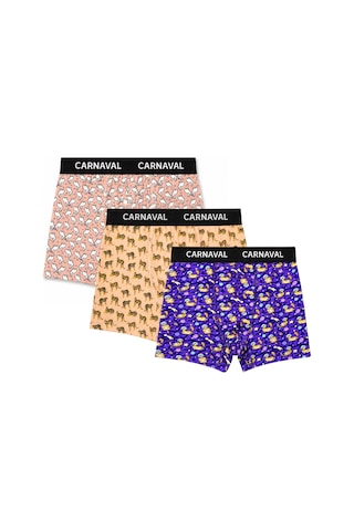 Carnaval Socks Carnaval Wild Orbit Erkek Boxer 3'lü Set Çoklu