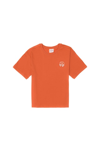 U.S. Polo Assn. Erkek Çocuk Tarçın Comfort Basic Bisiklet Yaka Tşört 50295503-VR191