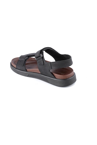 Dexter Ag23212-10 Erkek Terlik Çok Renkli