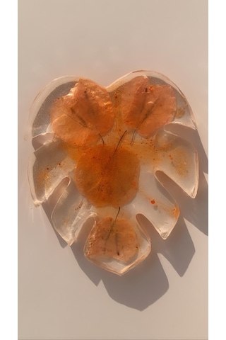 Turuncu Renk Begonvil Süslü Yaprak Desen Epoksi Bardak Altlığı Şeffaf