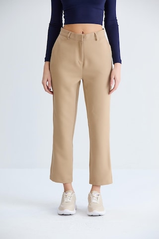 Sortie Collection Klasik Pantolon Vizon-vizon Vizon